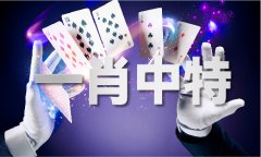 王中王马中特兔费大公开V
